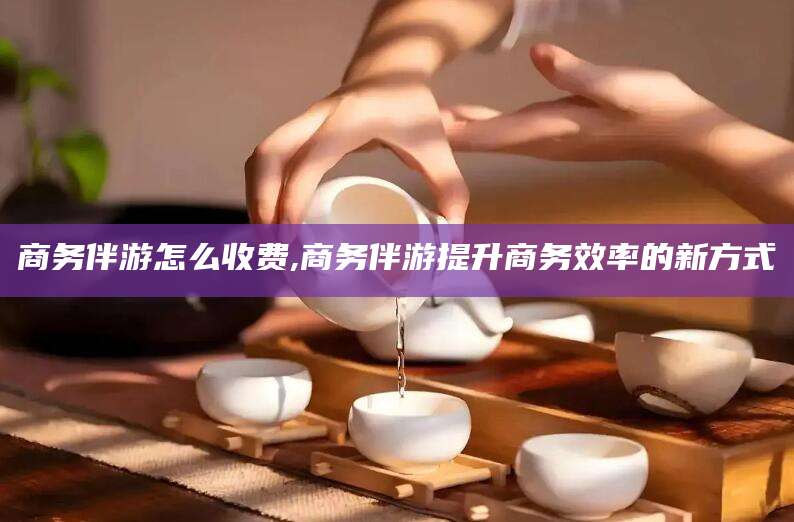 云梦商务伴游怎么收费,商务伴游提升商务效率的新方式